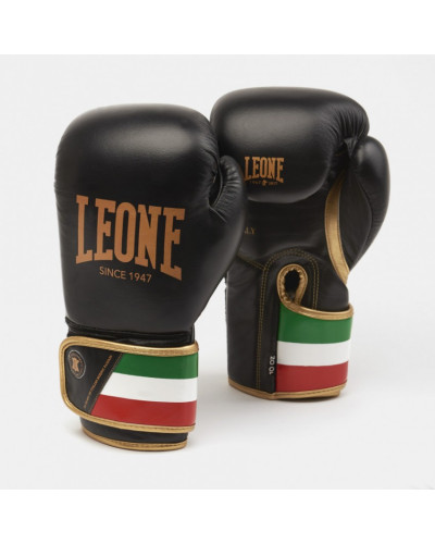 Боксерские перчатки Leone Italy Black 