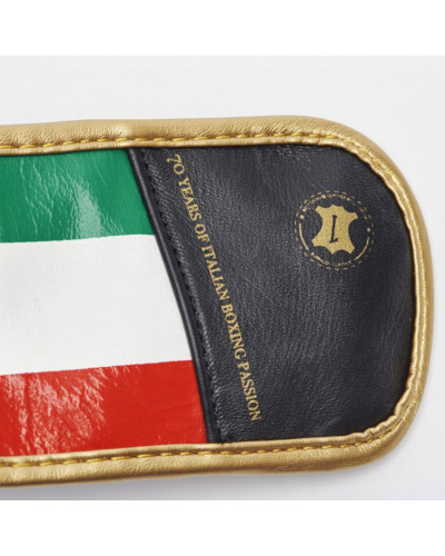 Боксерские перчатки Leone Italy Black Боксерские перчатки Leone Italy Black