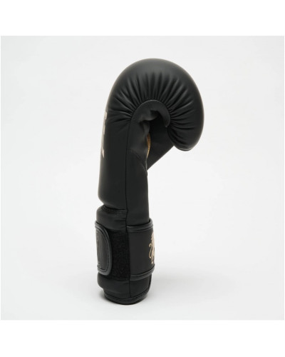 Боксерские перчатки Leone Mono Black 