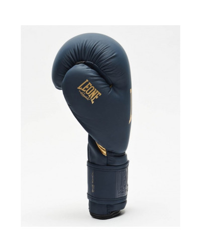 Боксерские перчатки Leone Mono Blue 