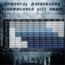 Рашгард Peresvit Immortal Silver Force Rashguard Long Sleeve Black Rain