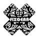 Fixgear